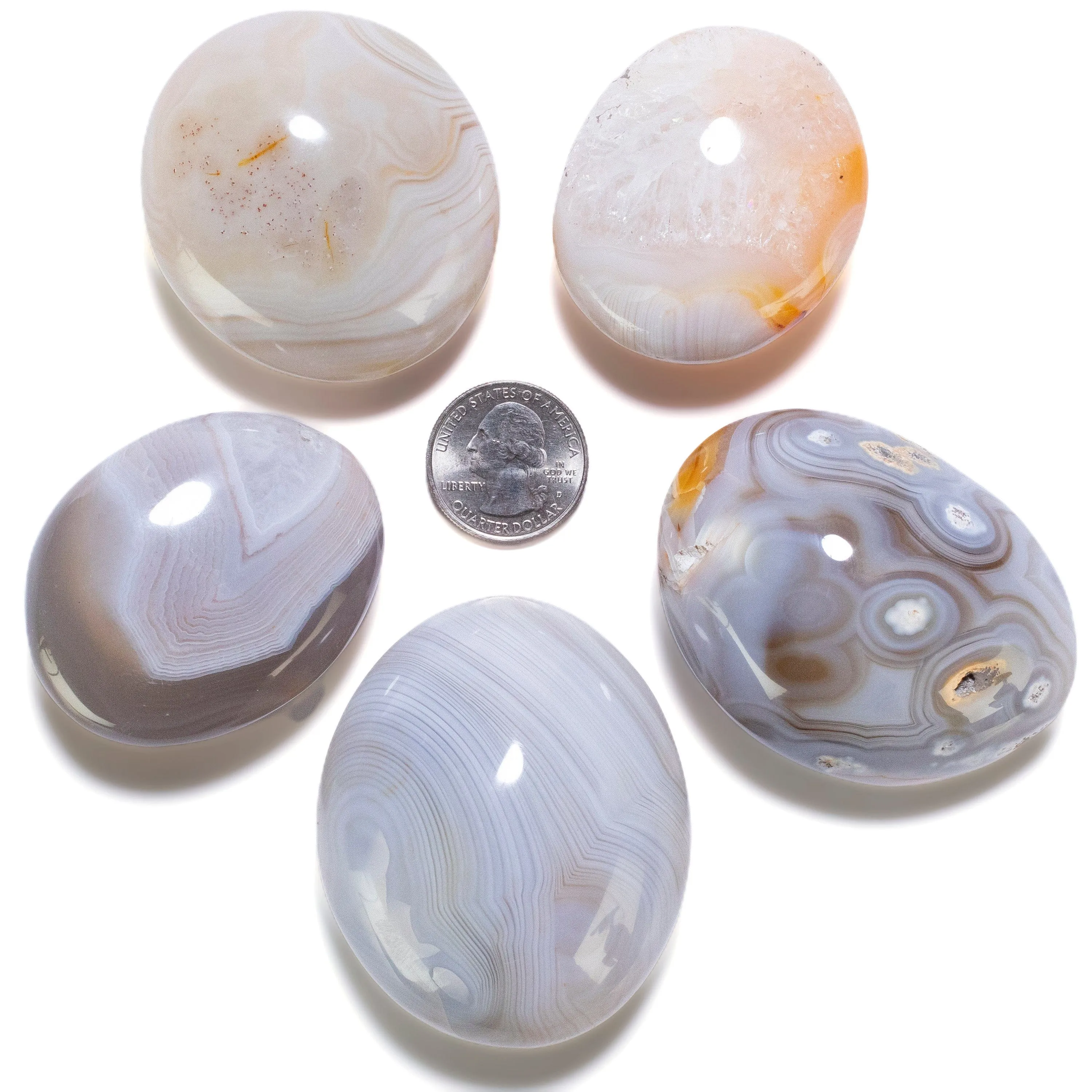 Agate Palm Stone