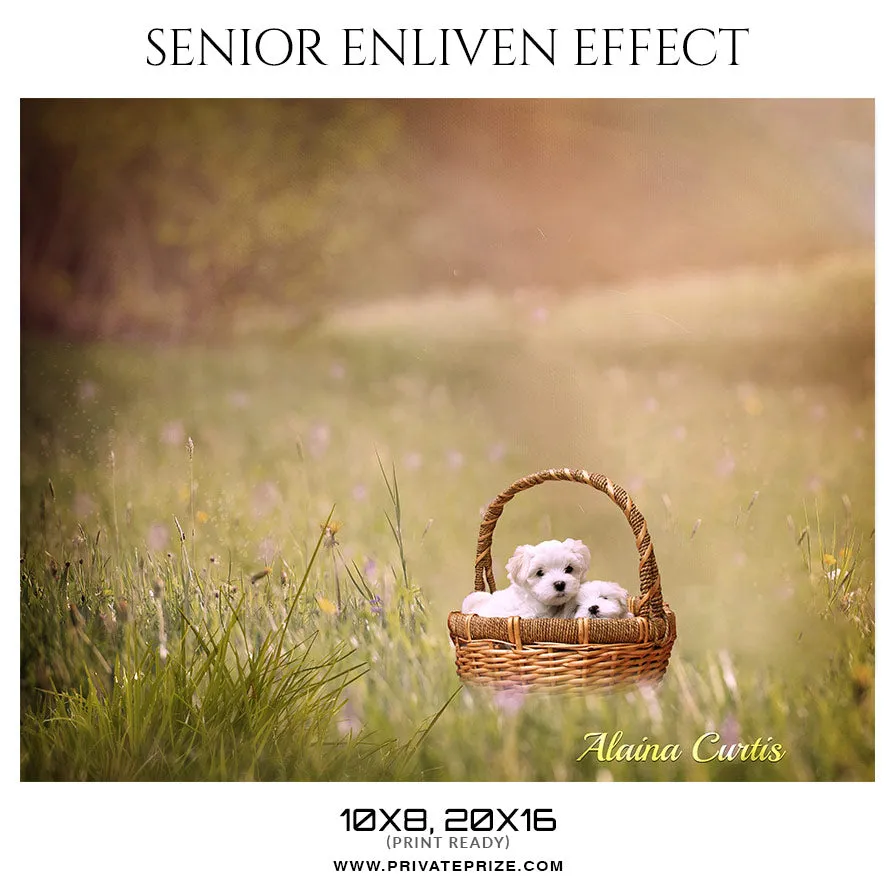 Alaina Curtis - Senior Enliven Effect  Photoshop Template