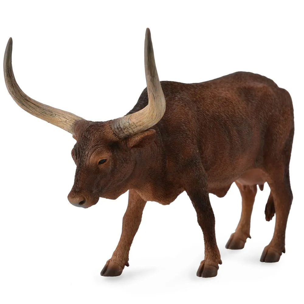 Ankole Watusi Cow