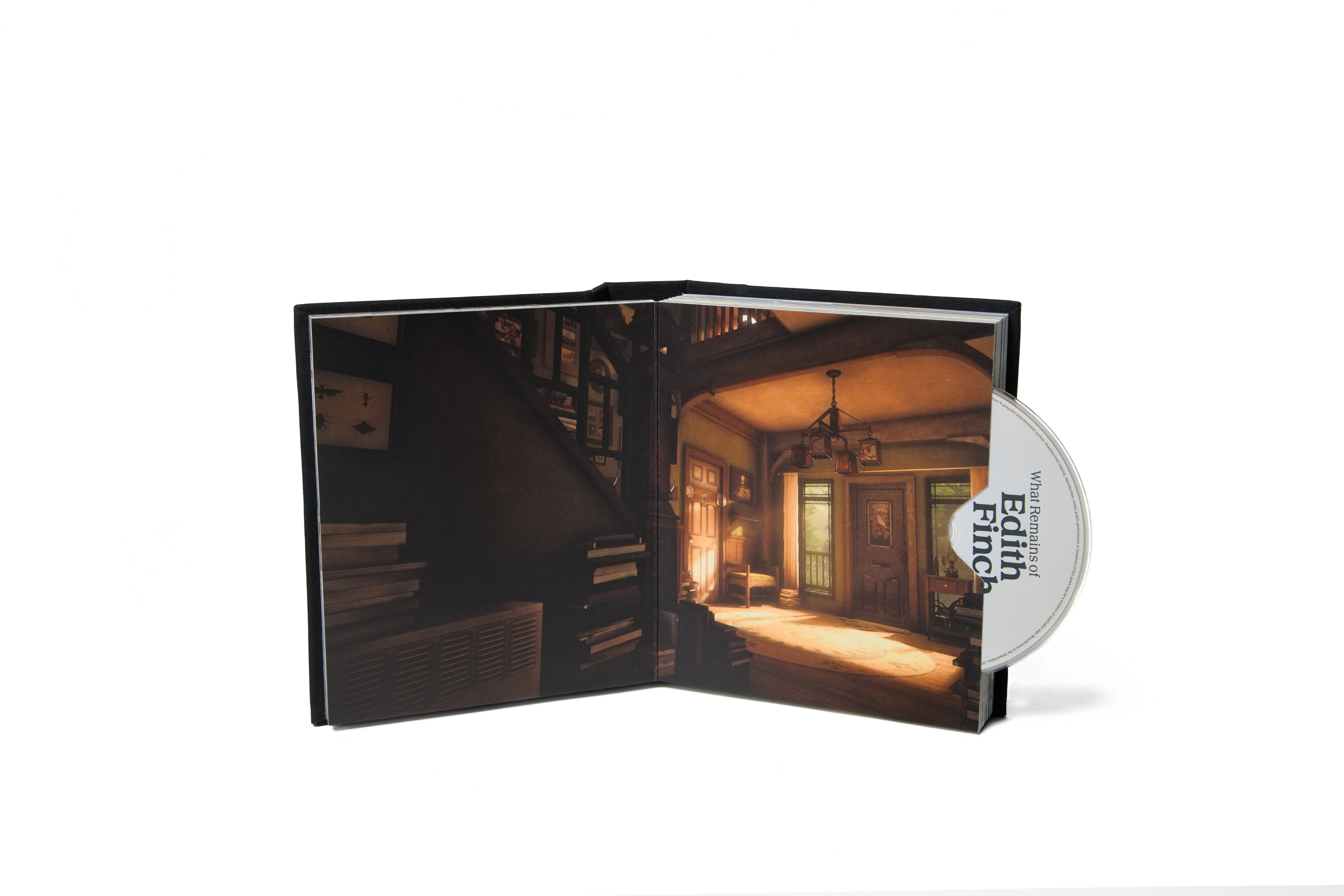 Annapurna Interactive Deluxe Limited Edition