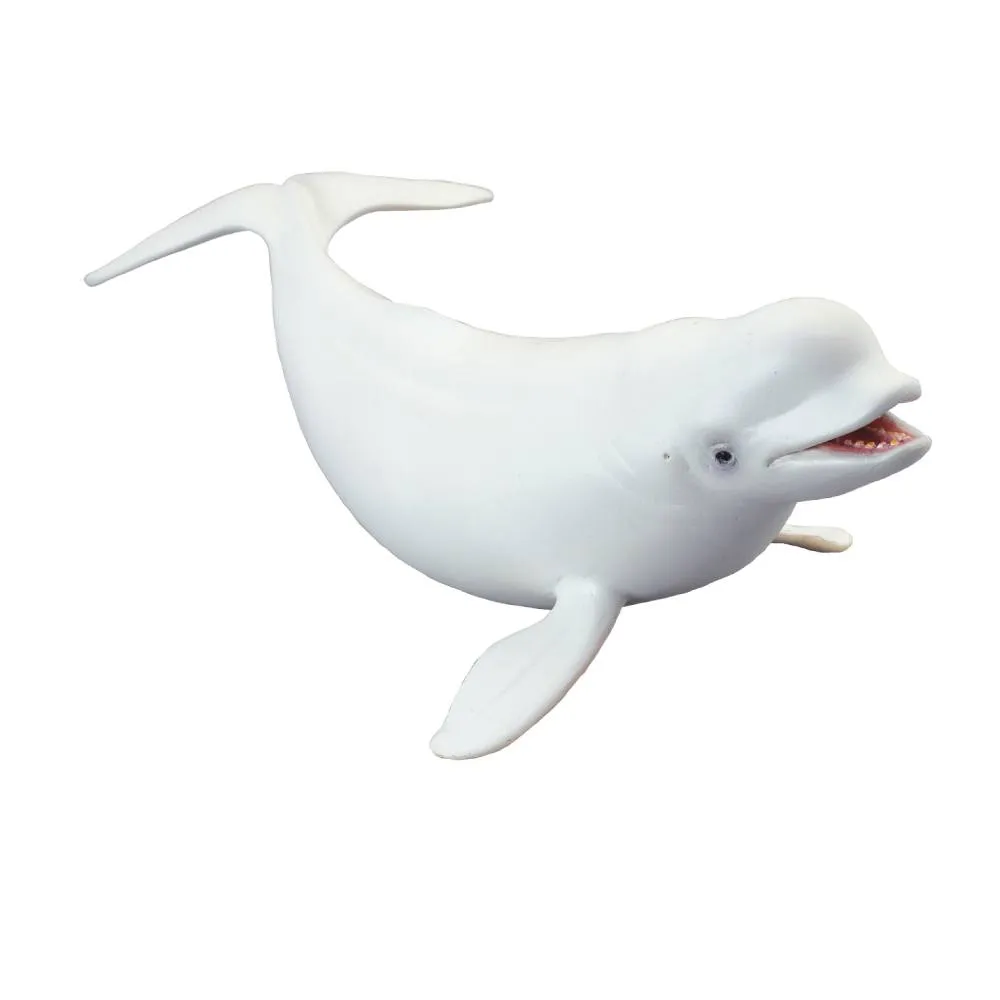 Beluga Whale