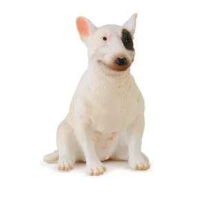 Bull Terrier Female