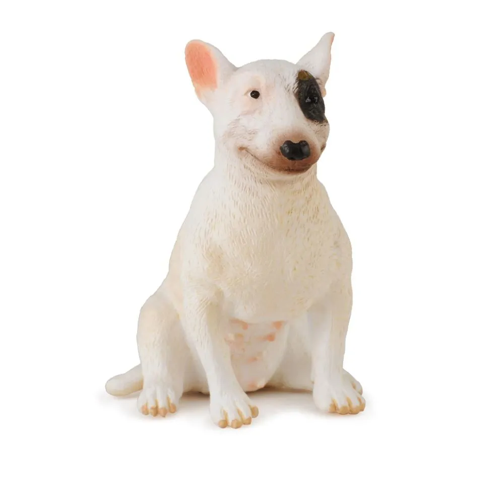 Bull Terrier Female