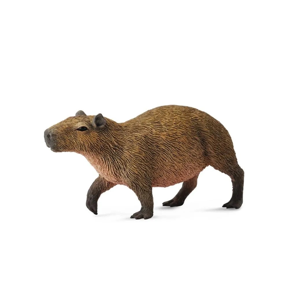 Capybara