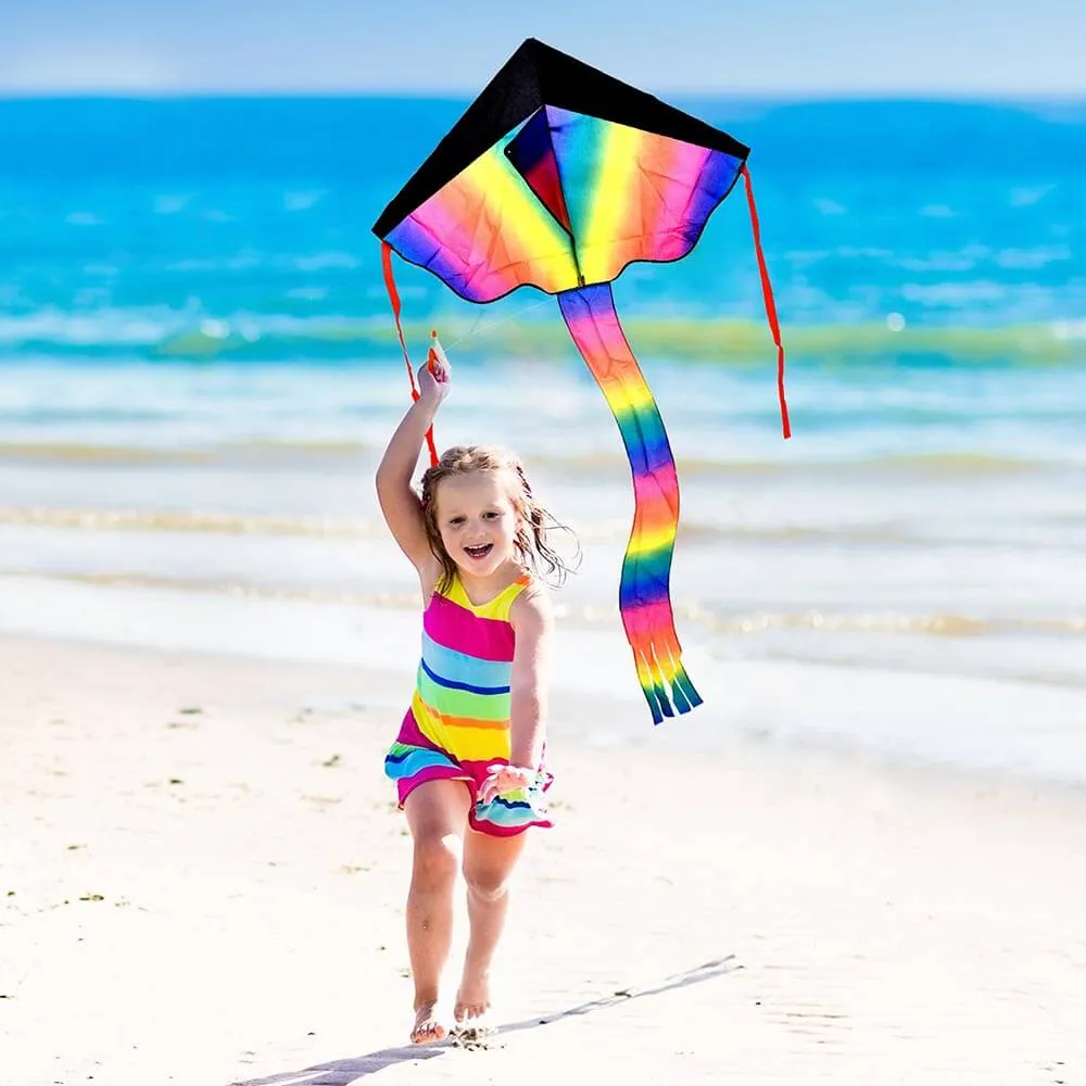 Colourful Kids Kite - Garden Toy