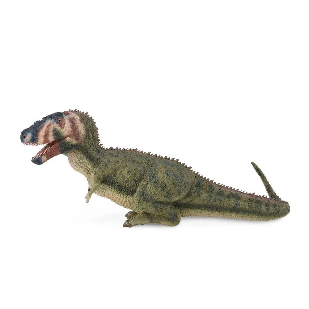 Daspletosaurus