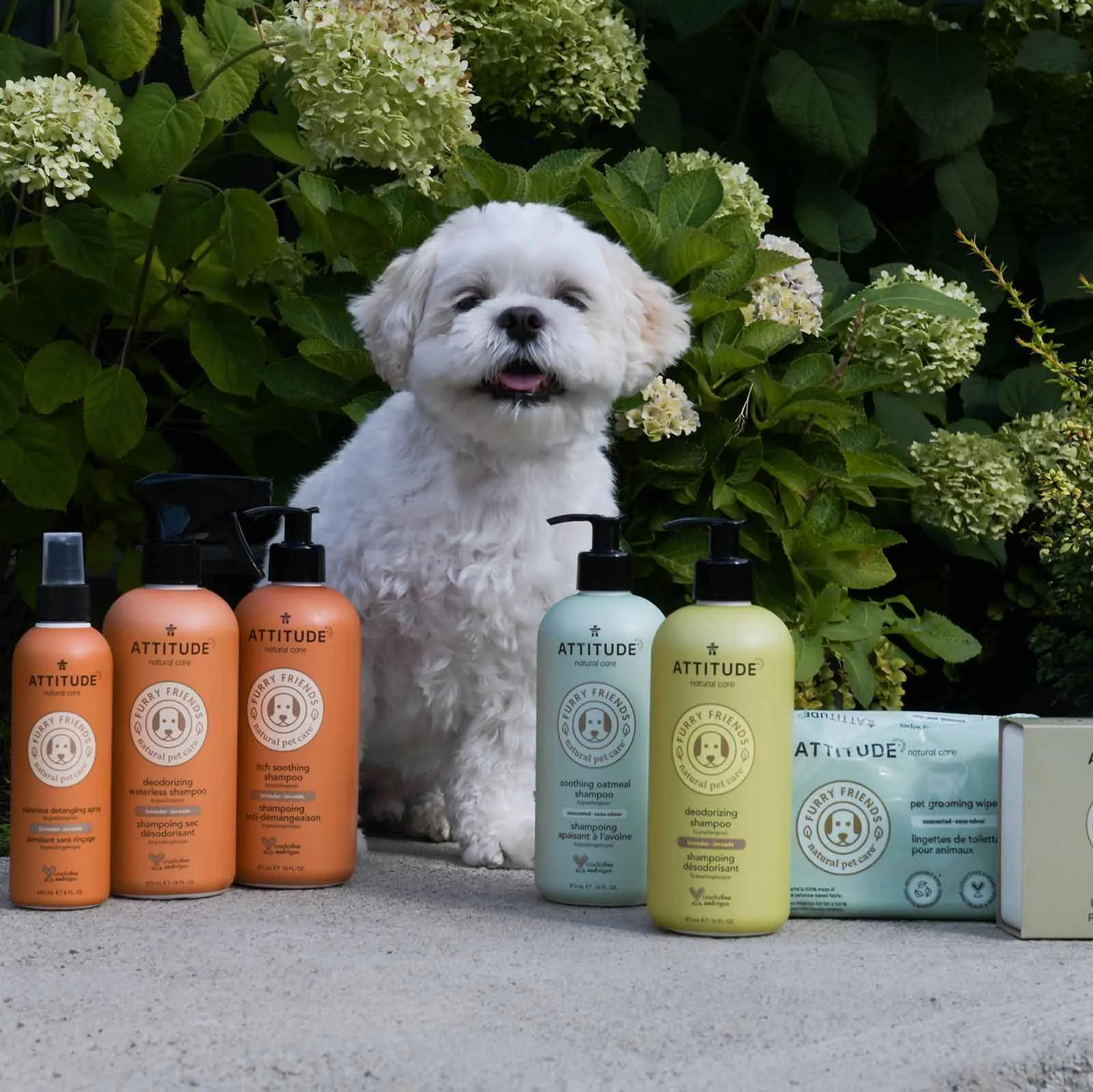 Deodorizing Shampoo for Pets : FURRY FRIENDS™