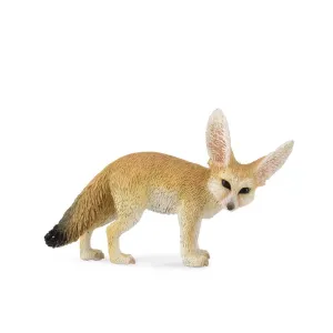 Fennec Fox