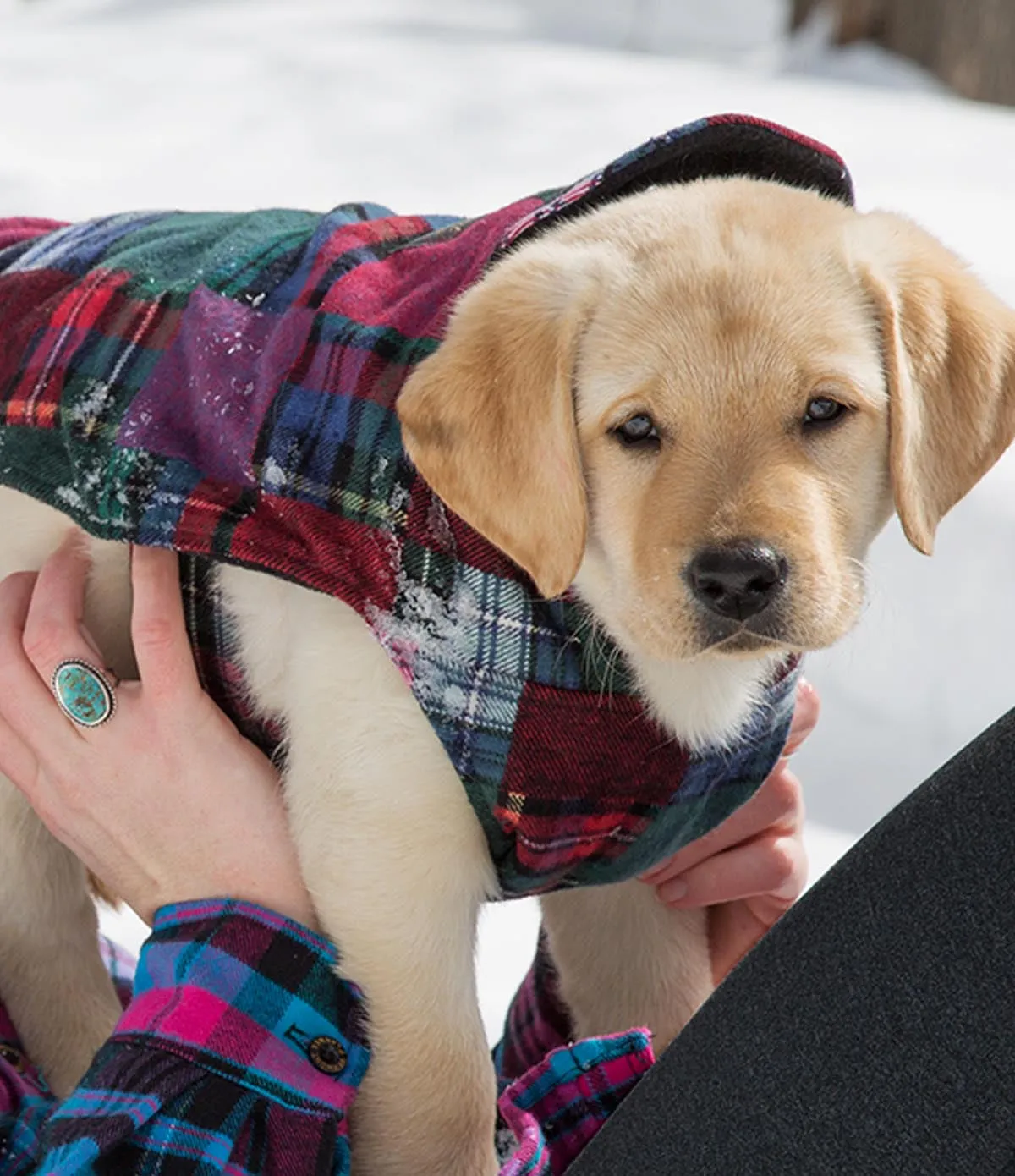 Flannel Dog Jacket - S