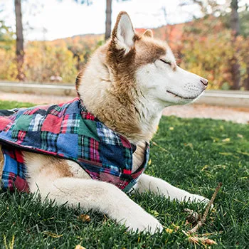 Flannel Dog Jacket - S