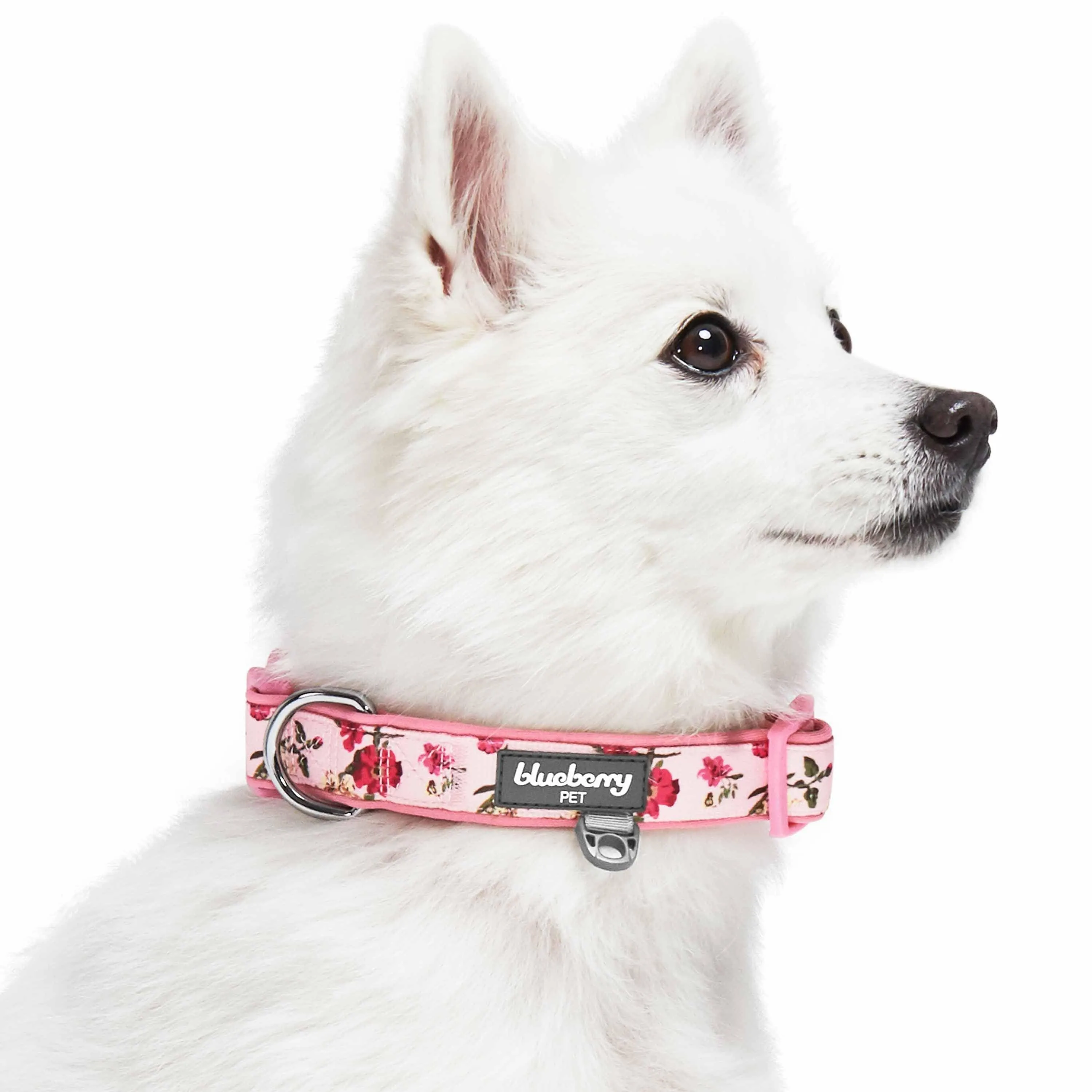 Floral Print Neoprene Padded Dog Collar