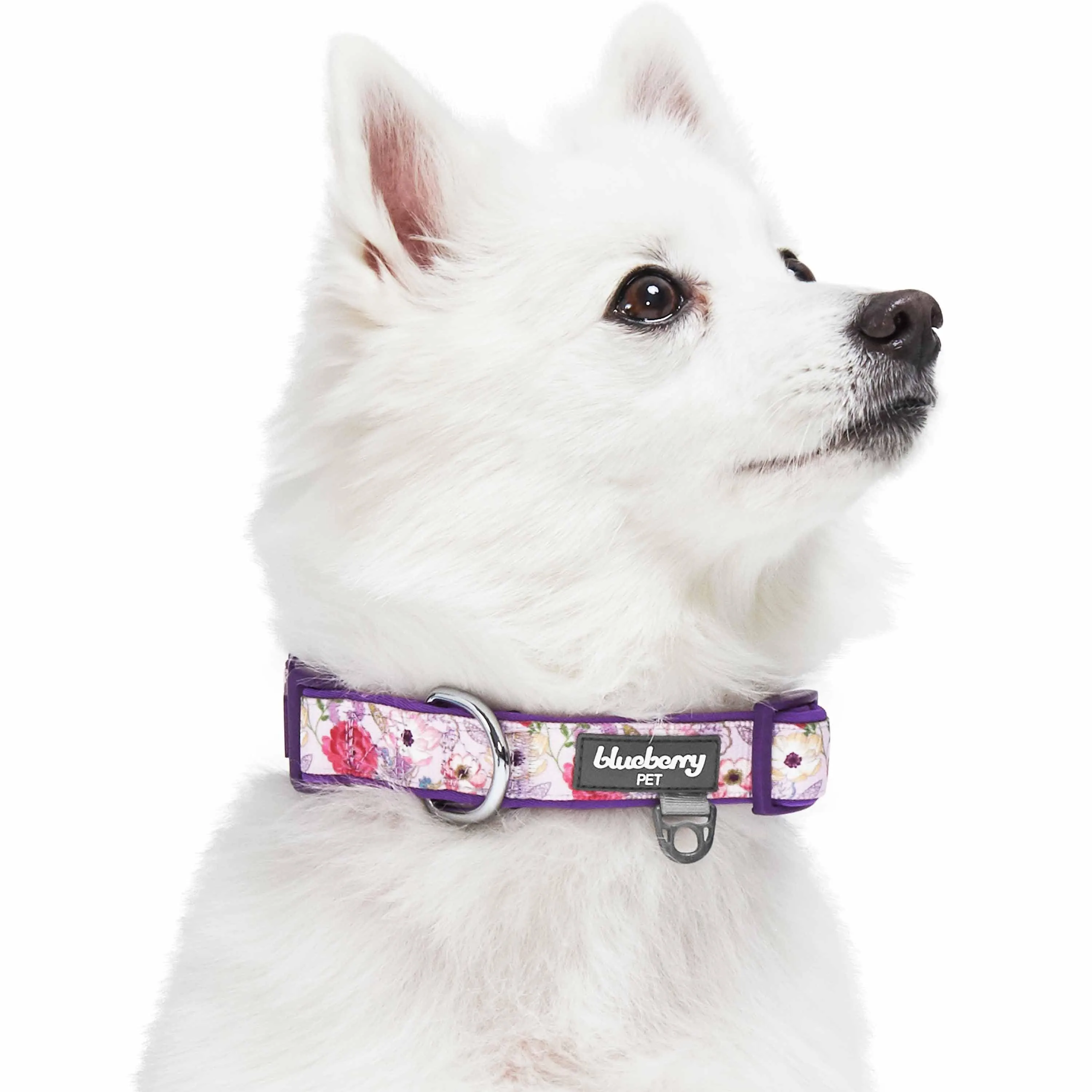 Floral Print Neoprene Padded Dog Collar