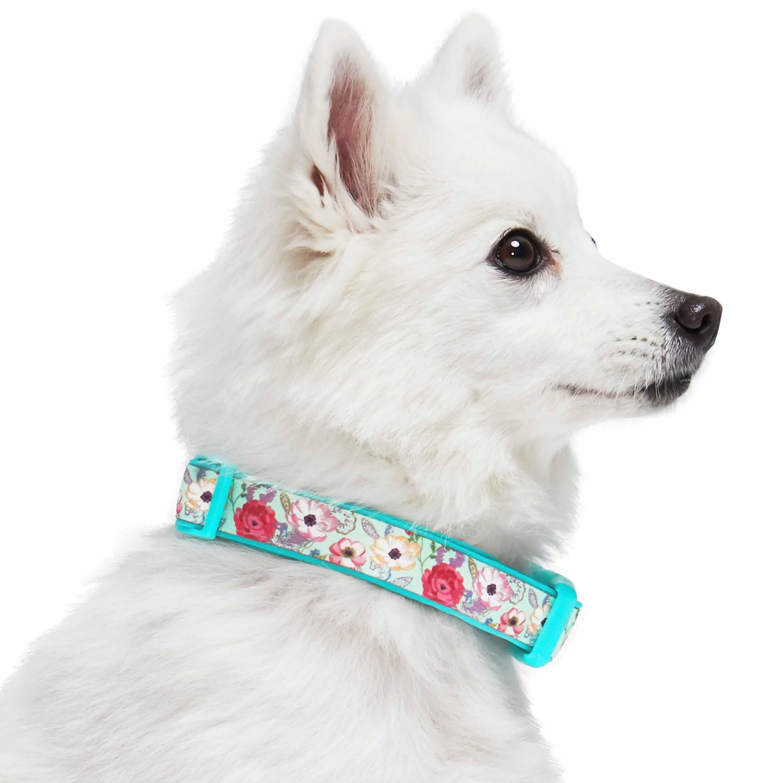 Floral Print Neoprene Padded Dog Collar