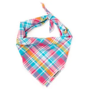 Madras Plaid Turquoise/Pink/Multi Bandana