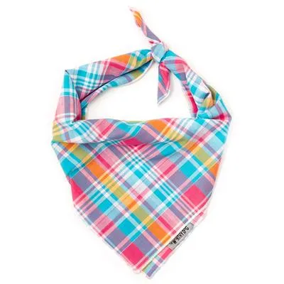 Madras Plaid Turquoise/Pink/Multi Bandana