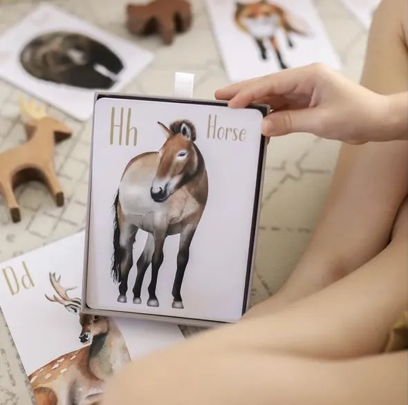 Modern Monty | Animal Alphabet Flash Cards