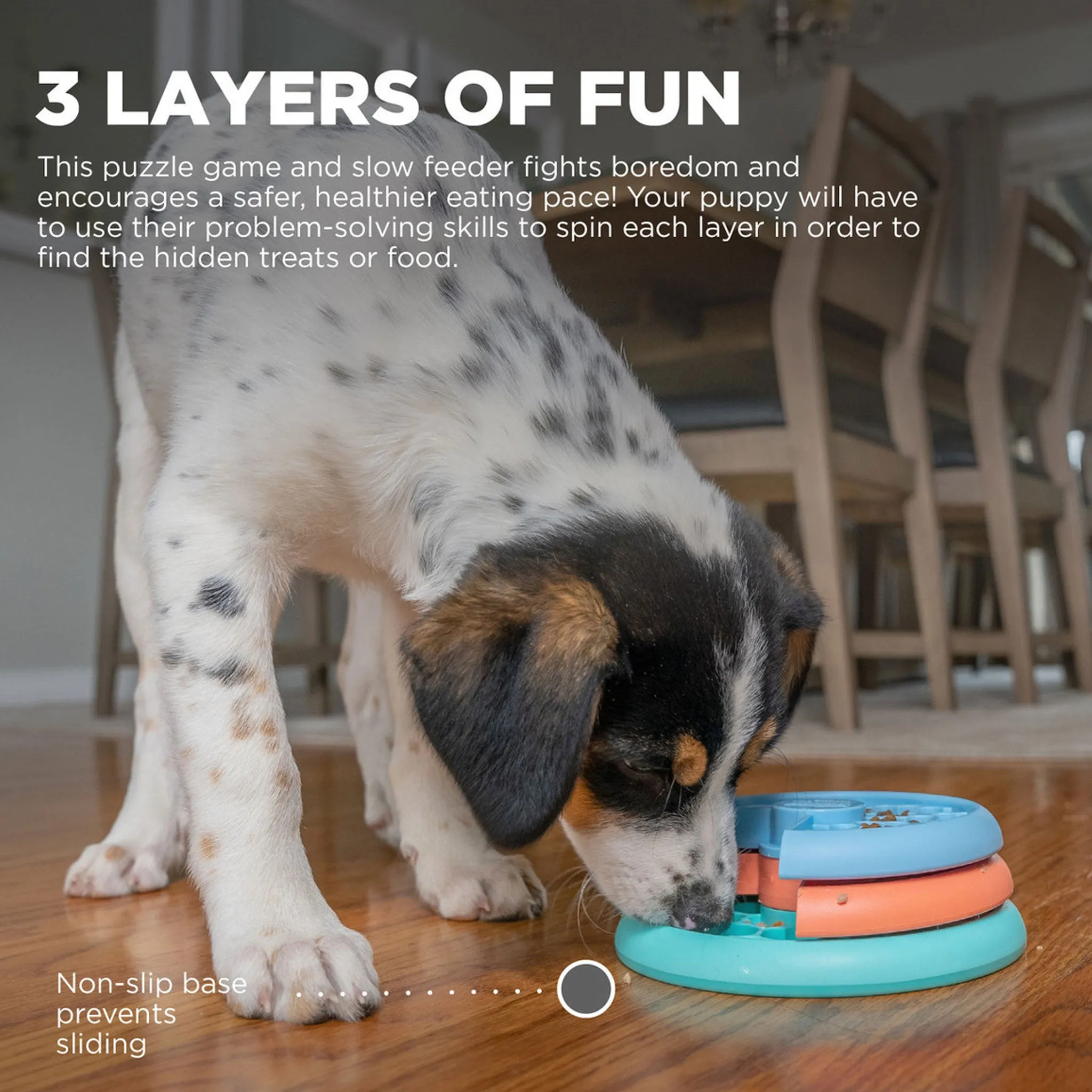 Nina Ottosson Puppy Lickin' Layers Puzzle