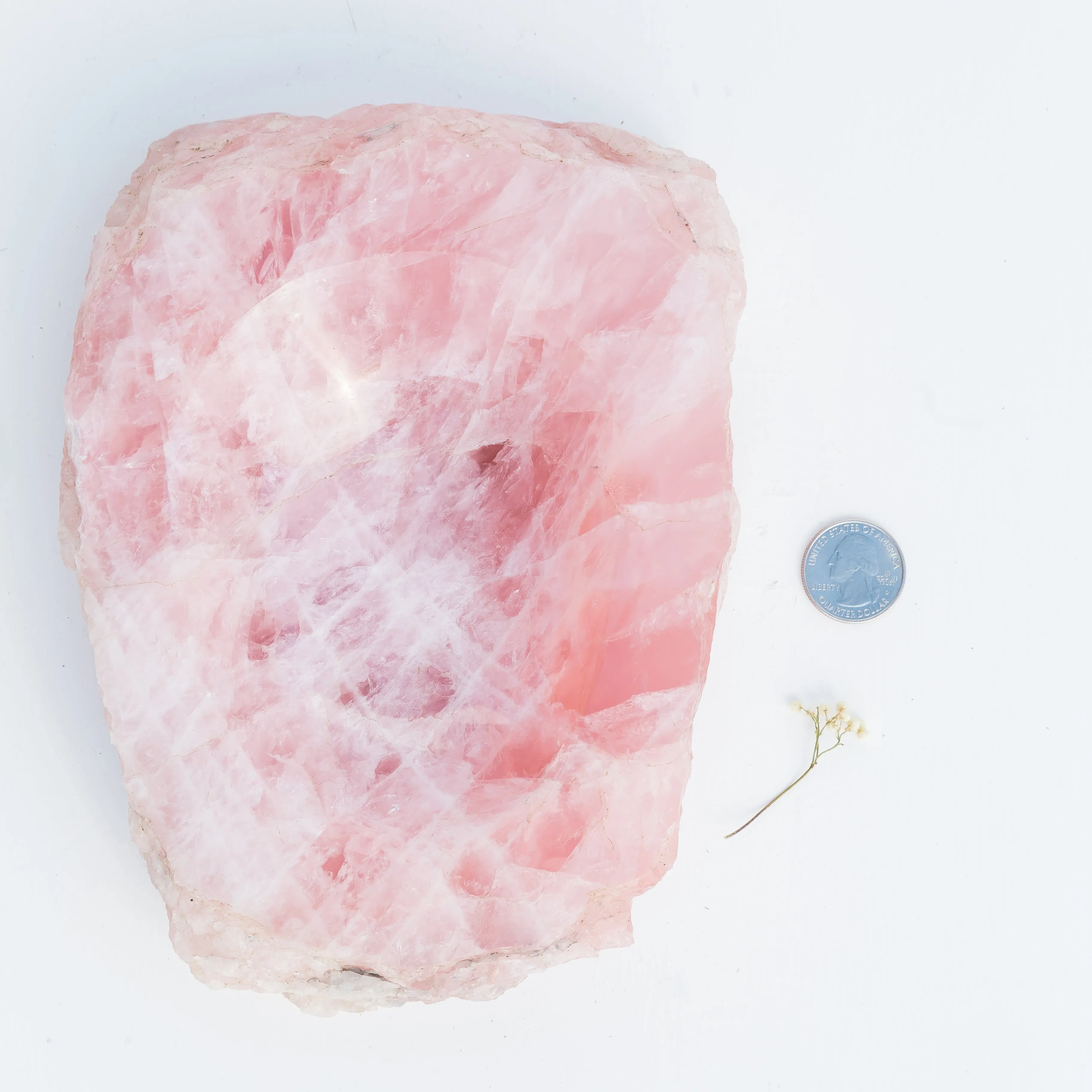 Rose Quartz - Bowl, Polished/Rough