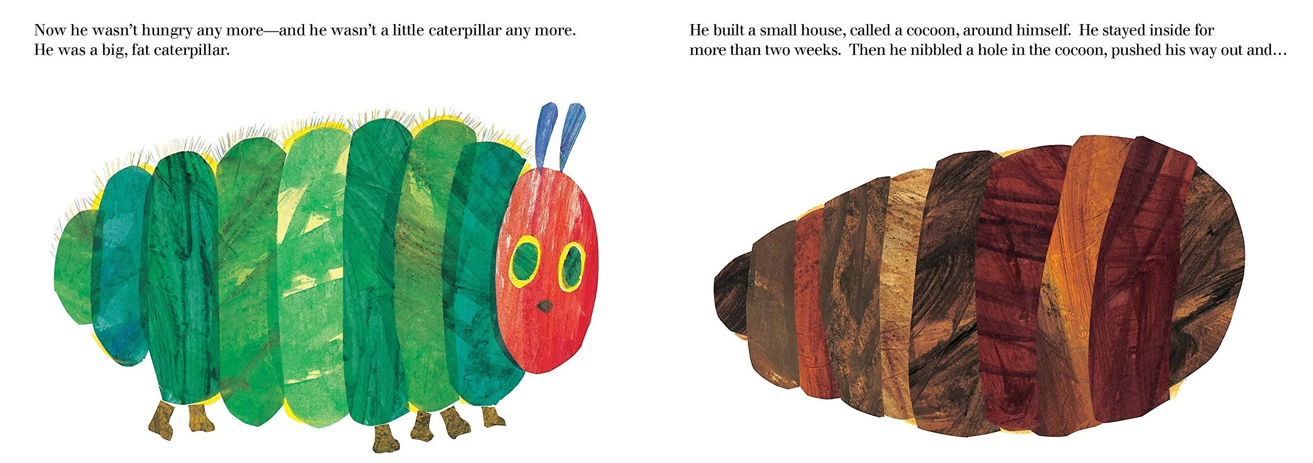 The Very Hungry Caterpillar